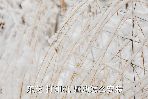 東芝打印機自動打印機驅動下載